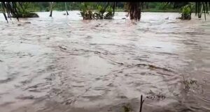 BMKG Prediksi Air Pasang Capai 3,4 Meter Pemkot Palembang Siapkan Antisipasi