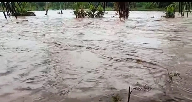 BMKG Prediksi Air Pasang Capai 3,4 Meter Pemkot Palembang Siapkan Antisipasi