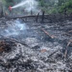 400 Perusahaan di Sumatera Selatan Terancam Sanksi Karhutla