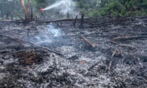 400 Perusahaan di Sumatera Selatan Terancam Sanksi Karhutla