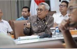 Target 1 Juta Ton Gabah, Pemprov Sumsel Cetak Sawah 48 Ribu Hektare