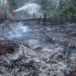 Waspada! 7 Wilayah di Sumsel Masuk Zona Rawan Karhutla Jelang Kemarau