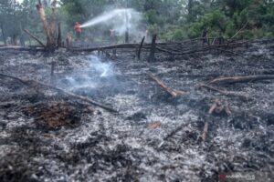 Waspada! 7 Wilayah Ini Masuk Zona Rawan Karhutla Jelang Kemarau