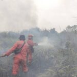 Karhutla Keempat di Ogan Ilir Tahun Ini: 2 Hektare Lahan Terbakar