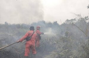 Karhutla Keempat di Ogan Ilir Tahun Ini: 2 Hektare Lahan Terbakar