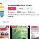 Tekan Pengangguran, Pemkot Palembang Jalankan Program Digital "Adogawe"