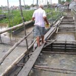 Produksi Ikan OKI Tertinggi di Sumsel, Patin Jadi Komoditas Primadona