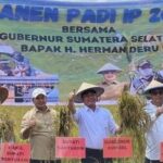 Panen Raya Padi IP 200 Banyuasin Tembus 8 Ton Per Hektar, Gubernur: Harus Konsisten!