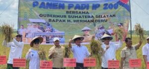 Panen Raya Padi IP 200 Banyuasin Tembus 8 Ton Per Hektar, Gubernur: Harus Konsisten!