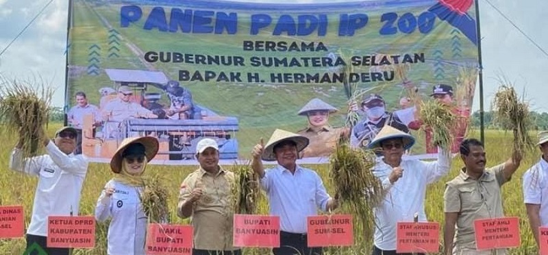 Panen Raya Padi IP 200 Banyuasin Tembus 8 Ton Per Hektar, Gubernur: Harus Konsisten!