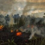 200 Kasus Terjadi, Ogan Ilir dan Musi Banyuasin Masuk Zona Merah Karhutla