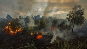 200 Kasus Terjadi, Ogan Ilir dan Musi Banyuasin Masuk Zona Merah Karhutla