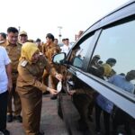 Pemkot Palembang akan Lelang Kendaraan Dinas untuk Tambah PAD, Berminat?