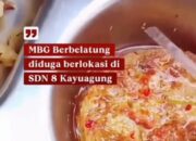 Siswa SD Kayu Agung Temukan Belatung di Telur Saus Menu MBG