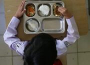 Keracunan MBG Melonjak, 2 Lembaga Ungkap Data Lebih Tinggi dari Versi Pemerintah
