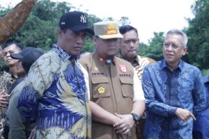 Banyuasin Optimis Jadi Lumbung Pangan Nomor Satu Nasional