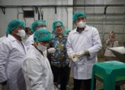 Santan Kelapa Sumsel Tembus Pasar China, Ekspor Capai 543 Ton Sepanjang 2025