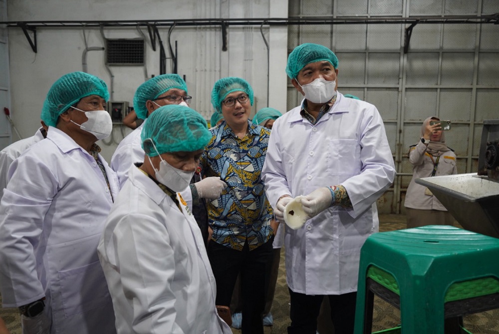 Santan Kelapa Sumsel Tembus Pasar China, Ekspor Capai 543 Ton Sepanjang 2025