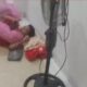 Viral! Atlet Porprov Sumsel Keluhkan Penginapan Tak Layak: “Tikar Tipis, Kipas Angin Satu, Pengap!”