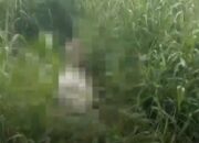 Misteri Mayat dalam Karung Terbongkar, Pelaku Kesal Sawitnya Sering Dicuri