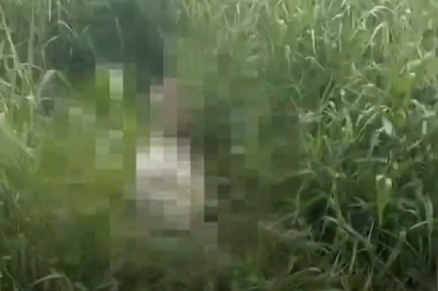 Misteri Mayat dalam Karung Terbongkar, Pelaku Kesal Sawitnya Sering Dicuri
