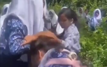 Viral Video Perundungan Siswi SMP di Muratara, Polisi dan Sekolah Bertindak Cepat