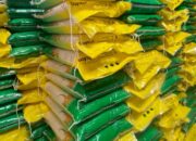Jelang Nataru 2025/2026, Beras SPHP Jadi Andalan Cegah lonjakan Inflasi