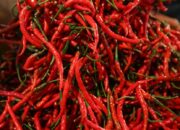 Jelang Nataru, Cabai Merah Keriting di Sumsel Melonjak hingga Rp75 Ribu, Stok Aman