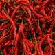 Jelang Nataru, Cabai Merah Keriting di Sumsel Melonjak hingga Rp75 Ribu, Stok Aman