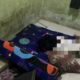 Guru PPPK Ditemukan Tewas Terikat di Kos, PGRI Minta Negara Turun Tangan