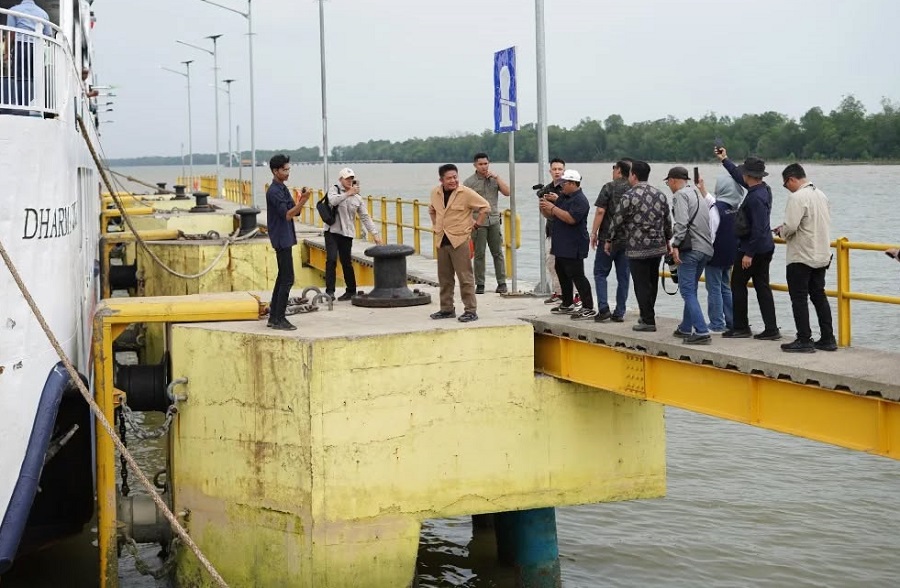 KEK Tanjung Api-Api Disiapkan Jadi Zona Industri Besar, Pelabuhan Tanjung Carat Agenda Prioritas