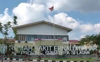 RS Ernaldi Bahar Siapkan Dokter Adiksi untuk Tangani Pasien Kecanduan Gadget
