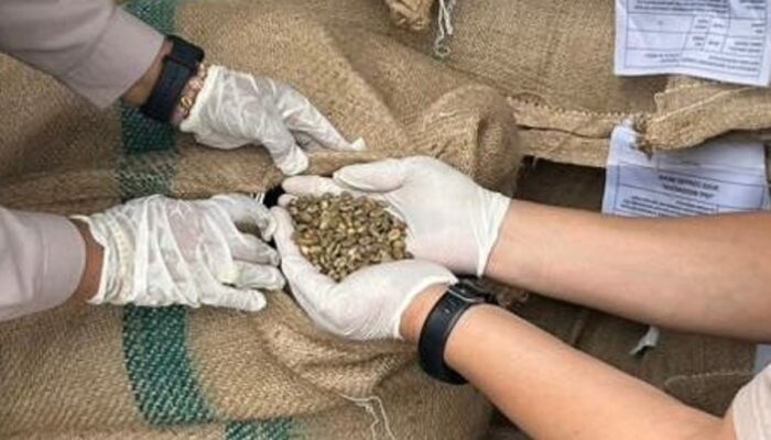 Tembus Pasar Australia, Kopi Pagar Alam Penuhi Standar Biosekuriti Ketat