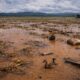 Dampak Banjir, 6.551 Hektar Sawah di OKI Alami Gagal Panen