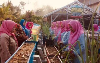Tri Ningsih bersama anggota KWT Kemuning berhasil mewujudkan ketahanan pangan keluarga setelah mengikuti berbagai pelatihan dalam program MUDA BERSAMA yang dilaksanakan PEP Prabumulih Field.