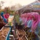 Tri Ningsih bersama anggota KWT Kemuning berhasil mewujudkan ketahanan pangan keluarga setelah mengikuti berbagai pelatihan dalam program MUDA BERSAMA yang dilaksanakan PEP Prabumulih Field.