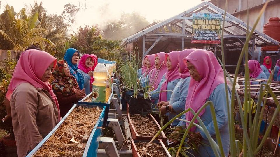 Tri Ningsih bersama anggota KWT Kemuning berhasil mewujudkan ketahanan pangan keluarga setelah mengikuti berbagai pelatihan dalam program MUDA BERSAMA yang dilaksanakan PEP Prabumulih Field.
