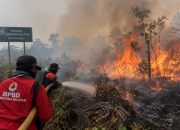 Pemadaman Kebakaran Hutan Sumatera Selatan (Foto Ilustrasi AI)