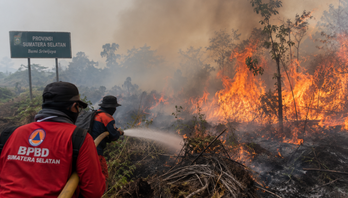 Teknologi Cairan dari Brasil Diuji untuk Atasi Karhutla di Sumsel, Kelembapan Tanah Diklaim Bertahan hingga 3 Hari