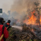 Teknologi Cairan dari Brasil Diuji untuk Atasi Karhutla di Sumsel, Kelembapan Tanah Diklaim Bertahan hingga 3 Hari